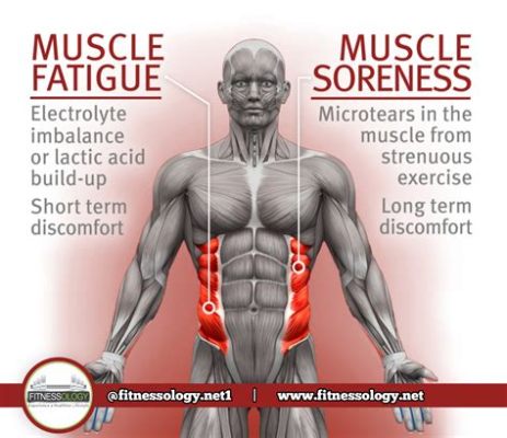 筋トレ翌日 だるい でも筋肉痛は成長の証？